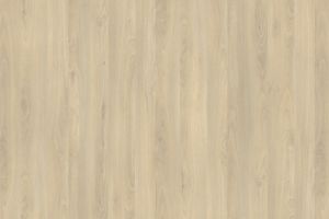 R24029 R5829 Fjord Beech light